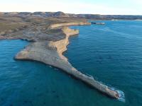 Monte León Interjurisdictional Marine Park Advances: Preliminary Approval to Expand Protection of the Argentine Sea
