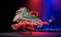 Puerto Flamenco Kicks Off Its Tour in Bosnia and Herzegovina with Ovations