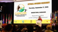 Caribbean nations considering legal strategies to bring UK to reparation negotiation table - report