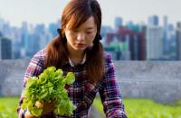 World Cleanup Day 2026 highlights global action on food waste