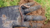 Soil Health Week set to feature farm walks and workshops