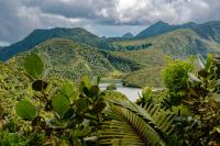 I Never Liked the Caribbean—But This Island With Waterfalls, Hot Springs, and Rainforests Won Me Over