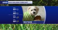 DOG WALK FORECAST: Soggy Sunday with some flooding possible