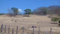 Costa Rica Raises El Niño Alert as Rainfall Shortage Deepens