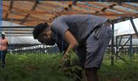 69 shade houses constructed in first half of 2026, benefiting over 460 farmers