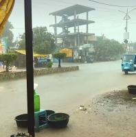 Rain Offers Relief After Dry Spell, Crops Remain At Risk