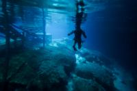 6 springs in 2 days: A Florida road trip reveals the state’s freshwater treasures