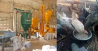Washington challenges Gabon’s ban on imported chicken, Libreville seeks a resolution