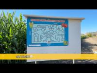 Kelowna corn maze returns with new mystery and a twist (Kelowna)