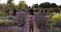 Music Review: 100 Tubas at Amisfield Walled Garden, Haddington Five Stars