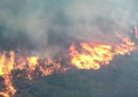 Central Colombia forest fire threatens tourist town of Villa de Leyva
