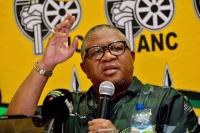 The web Fikile Mbalula weaves