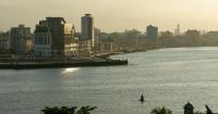 Toxic microalgae associated with fish ciguatera detected in Cuban waters