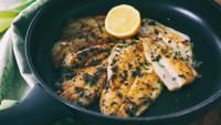 Massachusetts launches 'Flat is Back' campaign to get diners eating abundant flounder