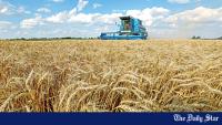 What’s really behind the global grain rally?