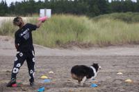 Dog-O-Rama lets the dogs out in Long Beach