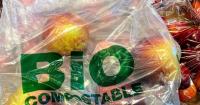 Plastics, bioplastics and how Virginia Tech aims to bridge the gap