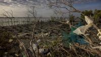 Why the fight against pollution depends on better data