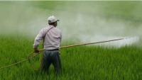 As energy infra comes under attack in Russia & West Asia, India has a new fertiliser problem – Sulphur