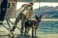 “Heart of The Beast” is a beautiful survival story with a mismarketed and underused animal companion