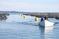 Fish farming prime for growth to meet domestic demand: industry group