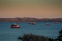 Illegal fishing and a call for transparency: the debate over control of Argentine Sea resources grows