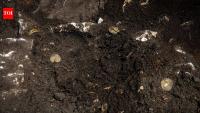Archaeologists found 45 Roman silver coins and a gold ring inside a Swedish farm building; the hoard was buried around AD 450