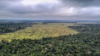 Devastation Could Disrupt World’s Largest ‘Rain Machine:’ The Amazon