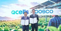 Hanwha Qcells, POSCO partner on agrivoltaic solar projects