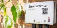 German courts uphold sales bans on some plug-in batteries