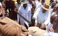 Agriculture CS says animal identification and traceability is critical to securing livestock and meeting stringent domestic and international market requirements.