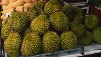 Thai Durian Trade Groups Push Back on Proposed Export Cess