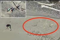 Tourists stranded on isolated Oregon beach after trying to snap ‘dramatic’ photo