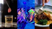 8 fun things to do this week in Abu Dhabi: Sept 21 to 24