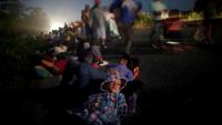 Forty Migrants Vanished. The Smuggling Market Survived -By Fransiscus Nanga Roka