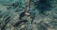 Lebanon Underwater Ruins
