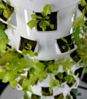 Solar-powered aeroponic system for off-grid vertical farming