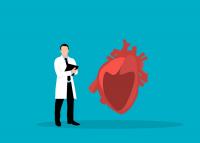 Scientists have found that the human heart can produce new muscle cells after a heart attack