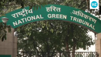 0% success rate for environmental parties in NGT appeals from Jan-June: Report