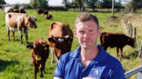UK milk supplies hit by 'serious' issues as dairy industry sees 1.24 million litre shortfall