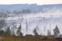 In Europe, Today's Children Will Live Through Nearly Twice as Many Fire Weather Days Than Their Grandparents