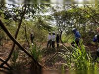 Brazil's Mombak raises new fund, adds Salesforce as carbon credit buyer