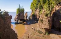 Canada calling for projects to protect aquatic species