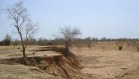 Sanankoro gold project nears construction phase, Cora Gold says