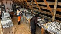 Miata Reports 94.6% Average Gold Recovery in Initial Metallurgical Test Results from Jons Trend at Sela Creek, Suriname