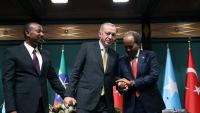 Türkiye leaves its mark in Africa with peace diplomacy