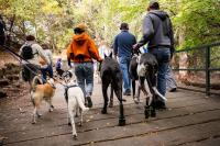 See Spot Walk 2026 Returns to Julia Davis Park in Boise