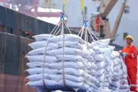 Bulk Carrier Shipment Boosts Rice Export Capacity