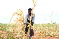 Botswana climate reporting gets boost as two join MESHA fellowship