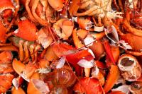 Maine researchers turn discarded lobster shells into golf tees